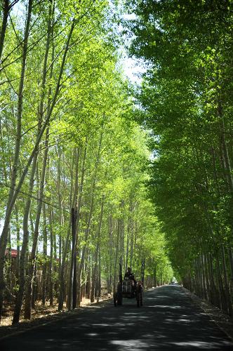 西部大開発の10年、内蒙古で道路8万キロ増える 西部大開発の10年、内蒙古で道路8万キロ増える