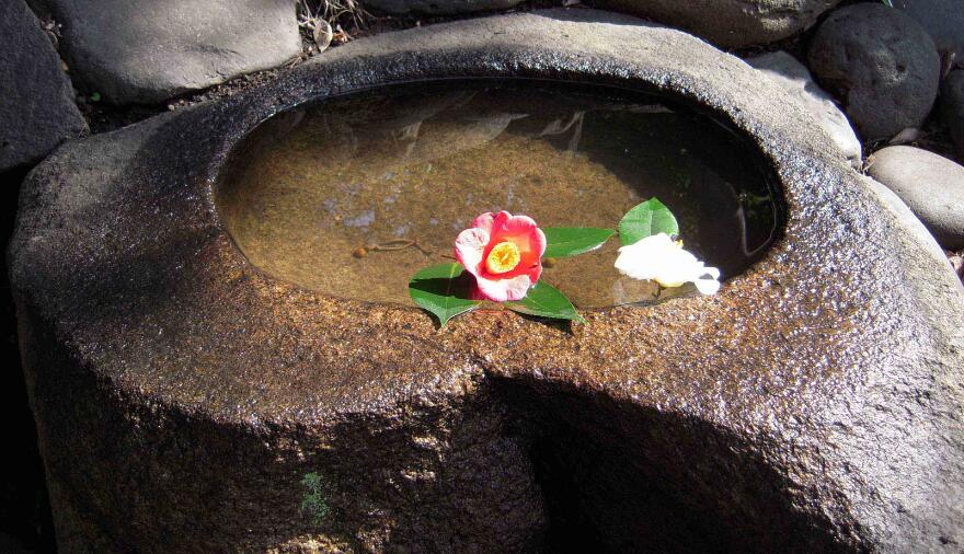 断捨離（断舍离）