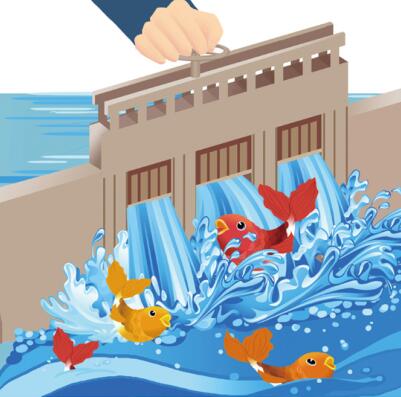 放水养鱼